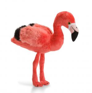 Flamingo - WWF (Världsnaturfonden)