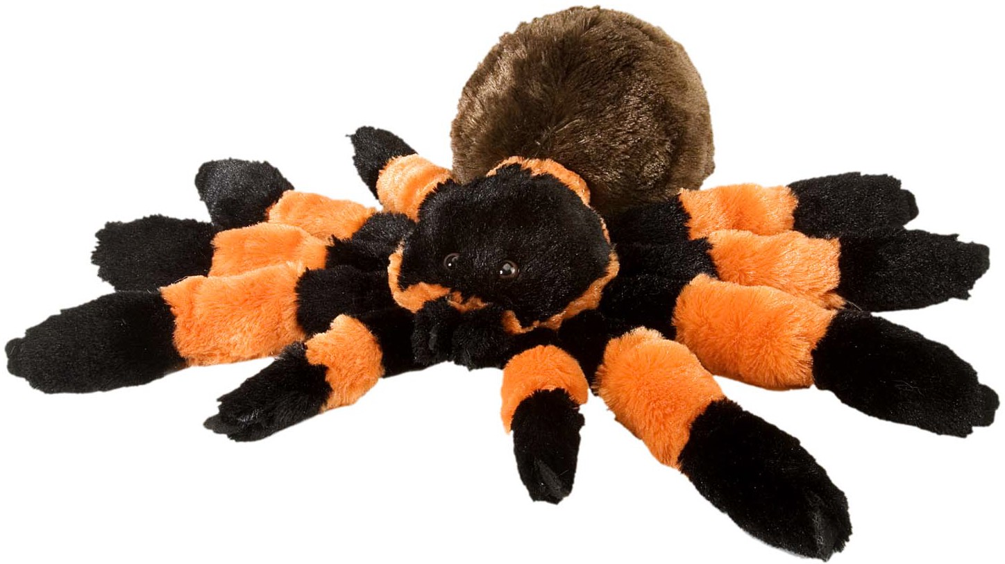 Tarantula